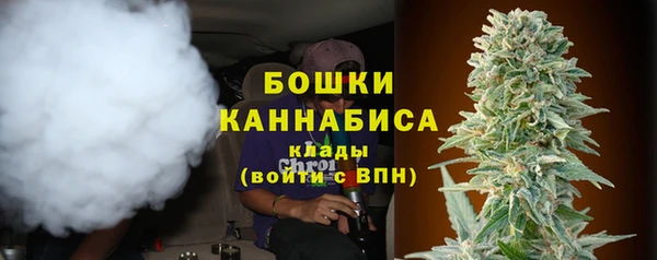 a pvp Белокуриха