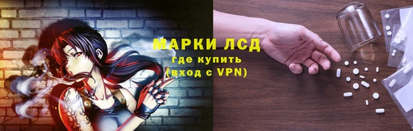 a pvp Белокуриха