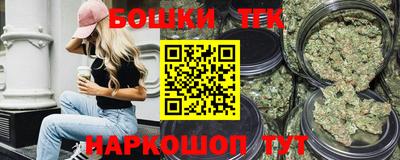 дживик Можга