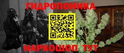 дживик Можга